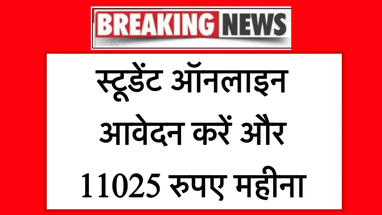 DU Summer Internship 2025